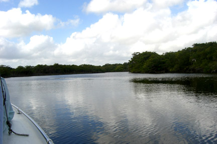 We left from a dock near Belize City. It took us about an hour to get to Lamanai. What a great boat ride!