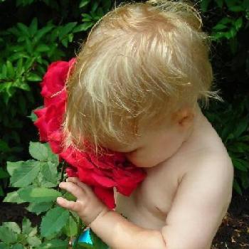 Stop and smell the Roses