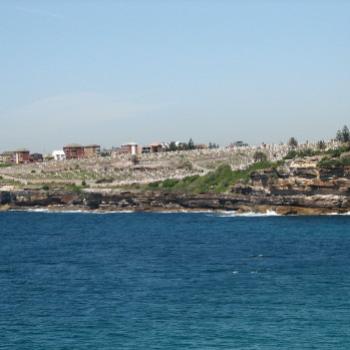 <b>7398 Waverley Cemetery</b>