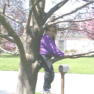 Mastering tree climbing