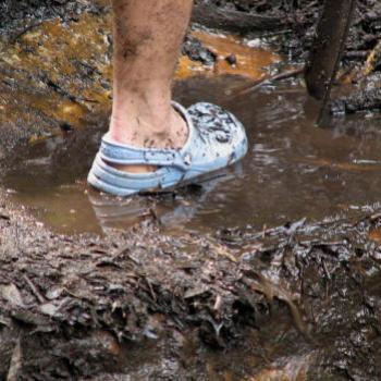 <b>crocks Dam cleaning Hawkesbury River Kate/Sydney</b>