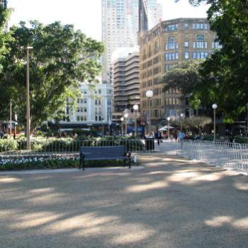 <b>6987 Tortoise Archibald Fountain Hyde Park Sydney Kate/Sydney</b>