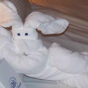 <b>Towel Bunny on Cruise</b>