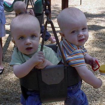 <b>My boys in the swing together</b>