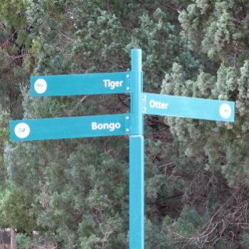 <b>DZJ08 zoo signpost Kate/Sydney</b>