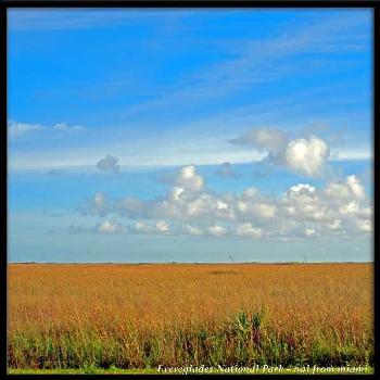 <b>River of Grass...Everglades National Park - World Heritage Site</b>