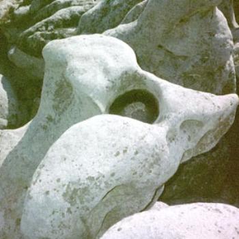 <b>Rock formation at Dolly Sods, West Virginia</b>