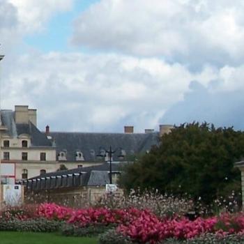 <b>flowers in Paris</b>