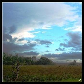 View of Everglades National Park, taken on a very rainy morning.  nal