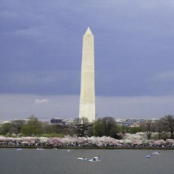 <b>Cherry Blossom at Washington Monument</b>