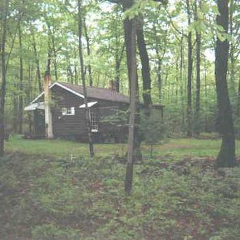 <b>My Cabin in the Woods</b>