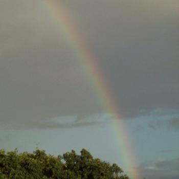 Rainbow in Virgin Gorda