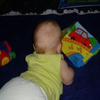 <b>5mth old reading</b>