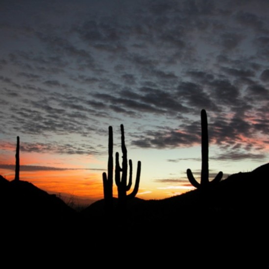 <b>Tucson Sunset</b>