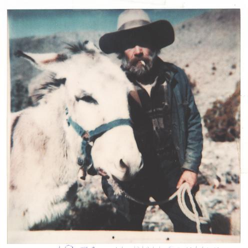 <b>prospector w burro</b>