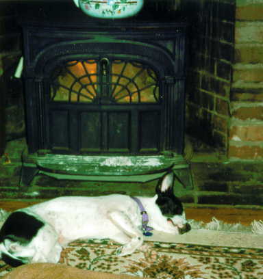 <b>Nacho's Fireplace</b>