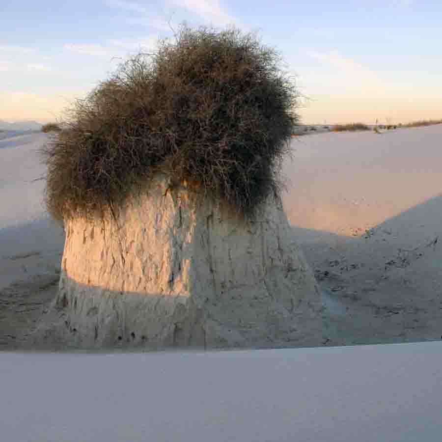 <b>White Sands, NM USA</b>