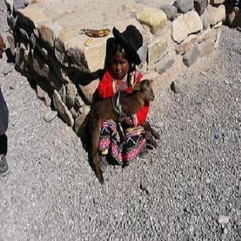 Little Peruvian girl with pet lamb in Colca Canyon Peru