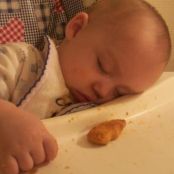 <b>Asleep while eating</b>