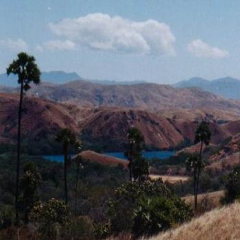 Komodo National Park, Rinca, Indonesia