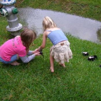 <b>Daddy, come look at the kittens</b>