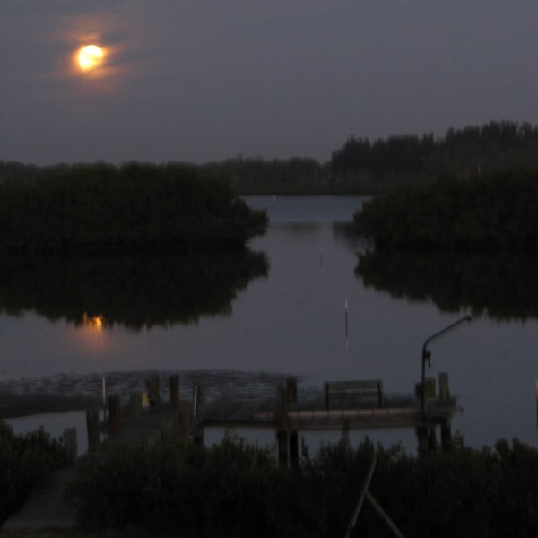 6:15am, moon setting over Terra Ceia Bay, Florida