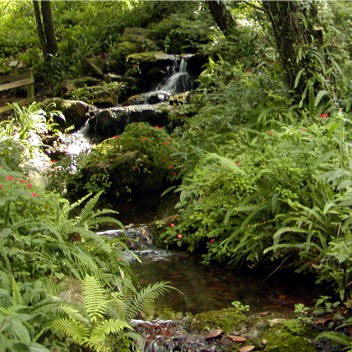 Rainbow Springs, Florida