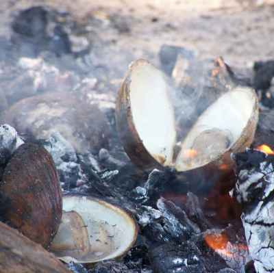 <b>Cooking up mud mussells on an open fire - Tiwi Islands NT</b>