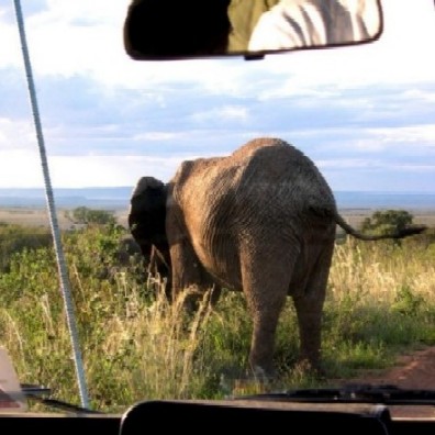 <b>Masai Mara, 2004 - Keyan Bowes</b>