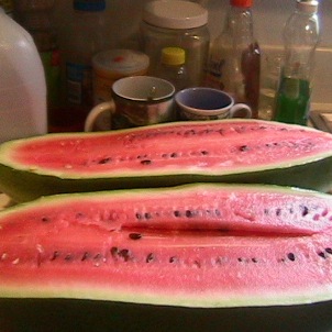 <b>Watermelon from our garden</b>