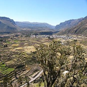 Incan terraced hillsides in Colca Canyon Peru