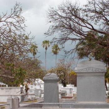 <b>Key West graveyard</b>