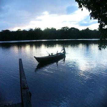 <b>Sandoval Lake, Puerto Maldonado jungle, Peru</b>