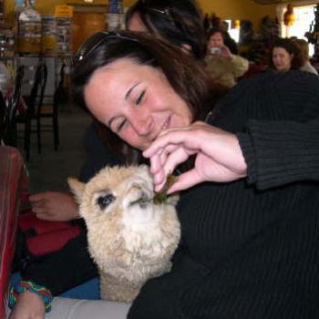 <b>The beautiful Manuela and the llama that was hiding in her purse. - Des</b>