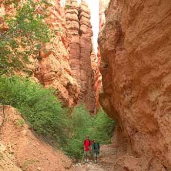 <b>Off the trail in Bryce National Park</b>