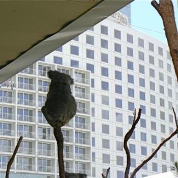 <b>Urban Koala (Ian/Sydney)</b>