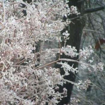 <b>Oklahoma ice storm 2007 Sue / OK</b>