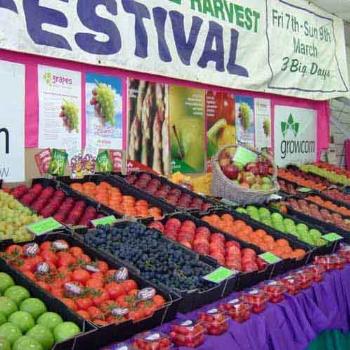 Apple & Grape Festival, Stanthorpe Qld.