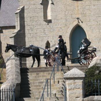 <b>Wedding Carriage Braidwood Kate/Sydney</b>