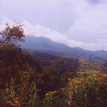 <b>The Burunga mountains near Rwanda, Africa \ kay NC</b>