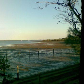 <b>Low Tide Redland Bay (CynB)</b>