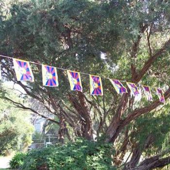 <b>Tibetan flags: dino/Sth Gippsland</b>