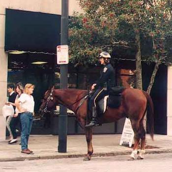 Our version of mounted police:  Jubilee (the horse) retired last year after many years of service. \ kay NC