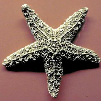 <b>Sea Star / kr NC</b>