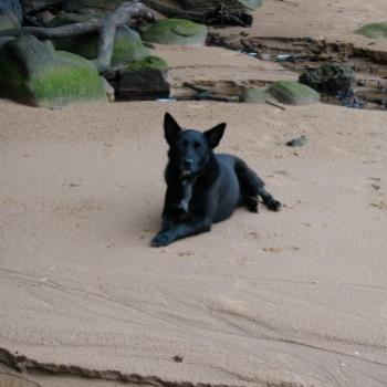 Ralph, Hawksebury River NSW Kate/Sydney