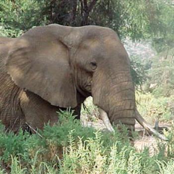 <b>Samburu, Kenya</b>