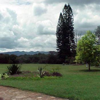 <b>Do you see the Maasai Warrior in the distance - "Out of Africa" - from Karen Blixen's porch</b>