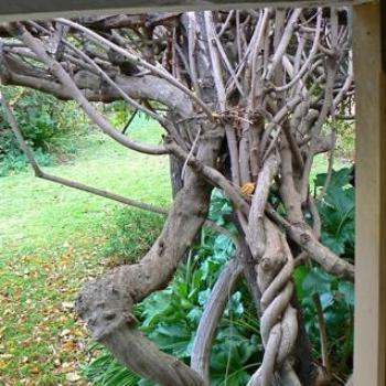 <b>Oh What a Tangled Web... (Ian/Sydney)</b>