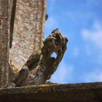 <b>Chartres gargoyle - France - Peg</b>