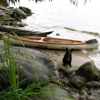 <b>Ralph's waiting, Hawksebury River NSW Kate/Sydney</b>